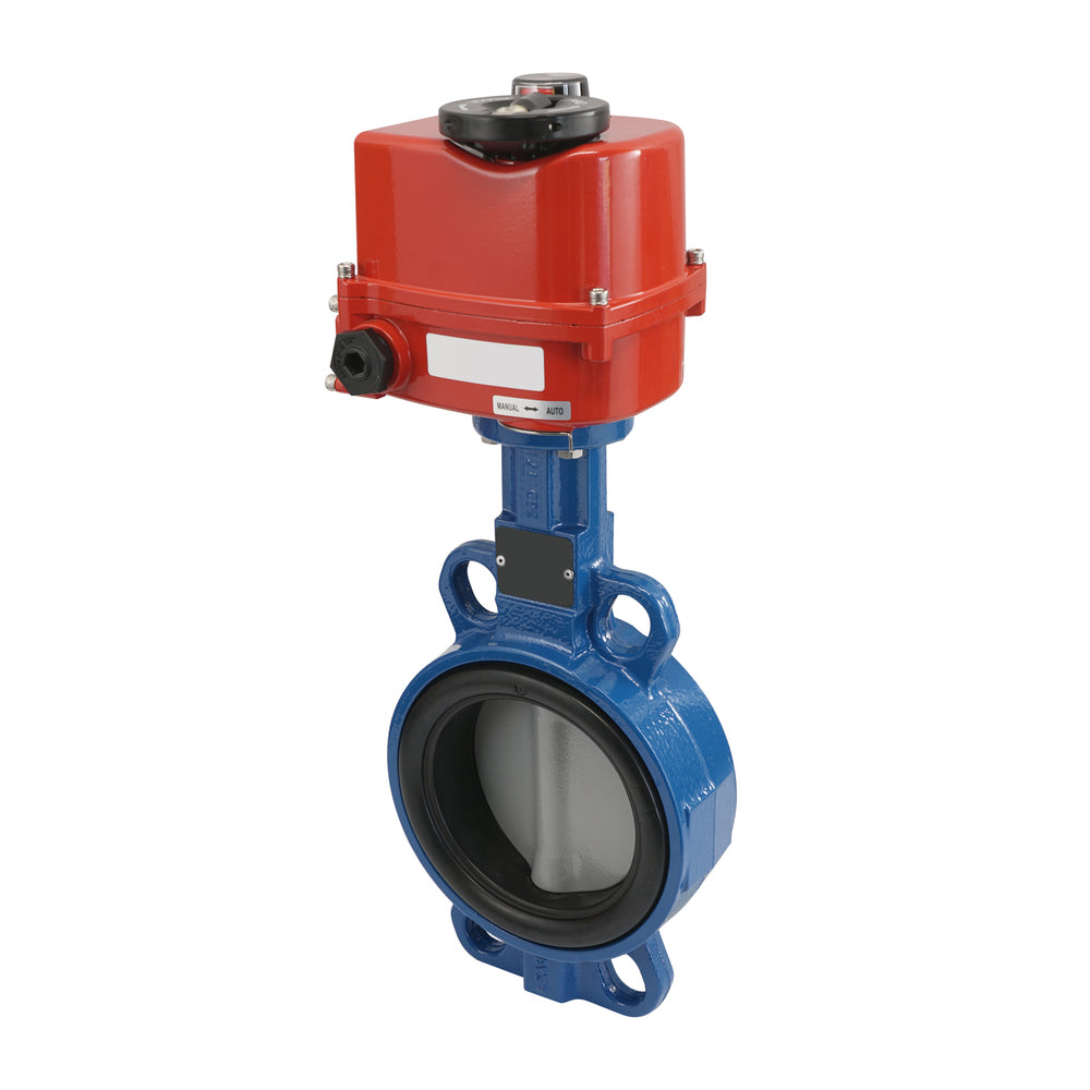 Elektrische Absperrklappe DN50 120-240V AC/DC Zwischenflansch GGG40 PTFE-Silikon AG5