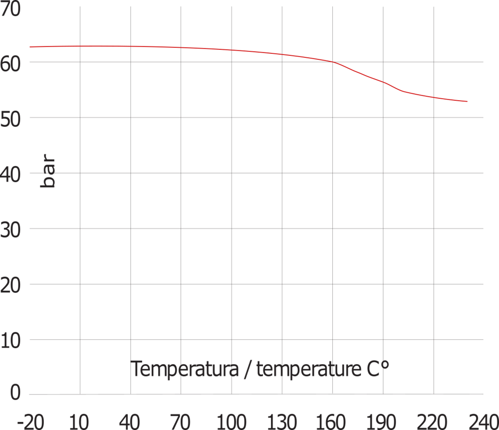 Rp1 1/2'' Edelstahl 316 Rückschlagventil PTFE 0,028-63bar - Hochdruck
