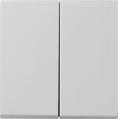 Gira System 55 Bedienelement/Zentralplatte Schaltgerät - 0295015