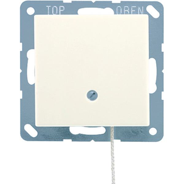Jung A500 Installationsschalter - A506BFNUZ