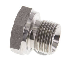 Stopfen G3/8'' Edelstahl mit Außensechskant 60° Konus 425bar (5971.25psi) Hydraulisch