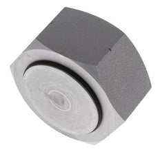 End Cap G2'' Steel with External Hex 60° cone 75bar (1053.75psi) Hydraulic