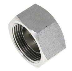 End Cap G1 1/4'' Steel with External Hex 60° cone 150bar (2107.5psi) Hydraulic