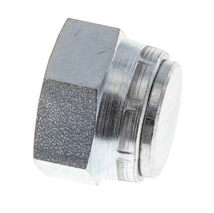 End Cap G3/4'' Steel with External Hex 60° cone 175bar (2458.75psi) Hydraulic
