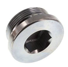 Stopfen M42 X 2 Stahl NBR mit Innensechskant 250bar (3512.5psi)